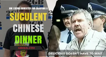 Arrested for Savoring Chinese Cuisine? Unraveling the Bizarre Dinner Dilemma