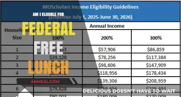 Navigating Eligibility for Federal Free Lunch Programs: A Comprehensive Guide