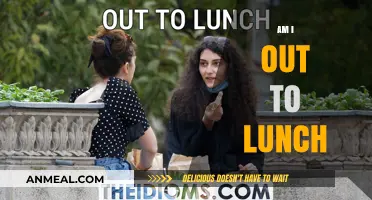 Exploring the Phrase 'Am I Out to Lunch': A Deep Dive