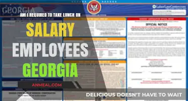 Georgia Salary Employees: Lunch Break Requirements Explained