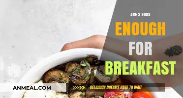 Egg-cited for Breakfast: Are Three Eggs Enough?