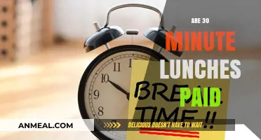 Are 30-Minute Lunches Paid? Understanding Your Rights and Employer Obligations