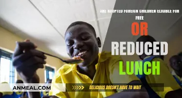 Navigating School Meal Benefits for Adopted Foreign Children
