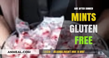 Are After Dinner Mints Gluten Free? A Sweet Digestive Guide