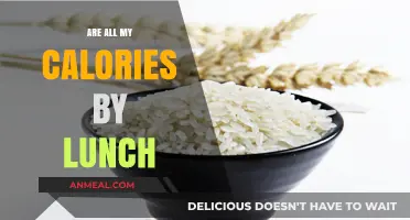 Fueling Your Day: The Lunchtime Calorie Conundrum Explained