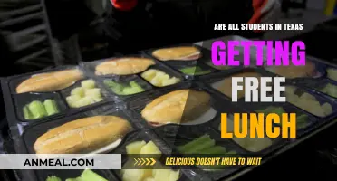 Universal Free Lunch in Texas Schools: A Reality Check