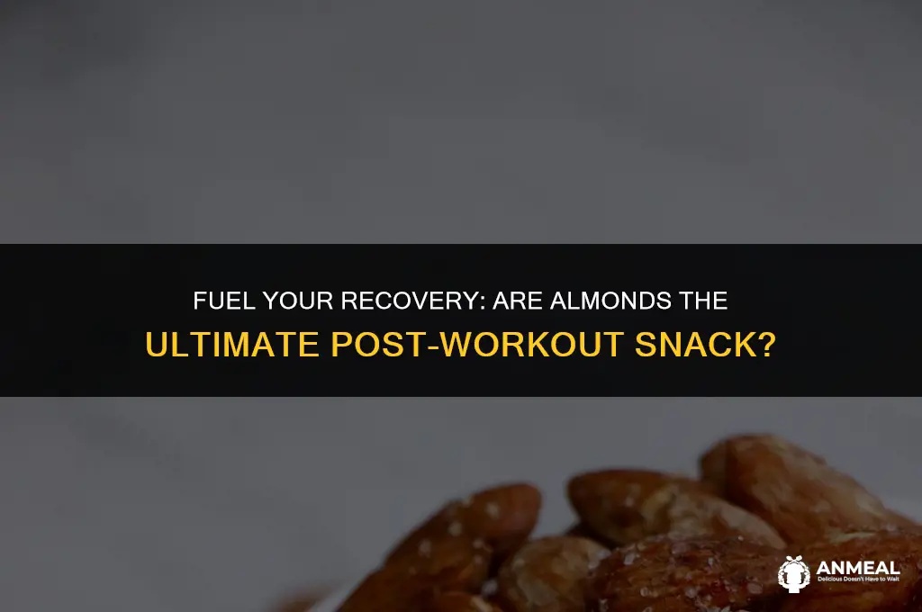 are almonds a good post workout snack
