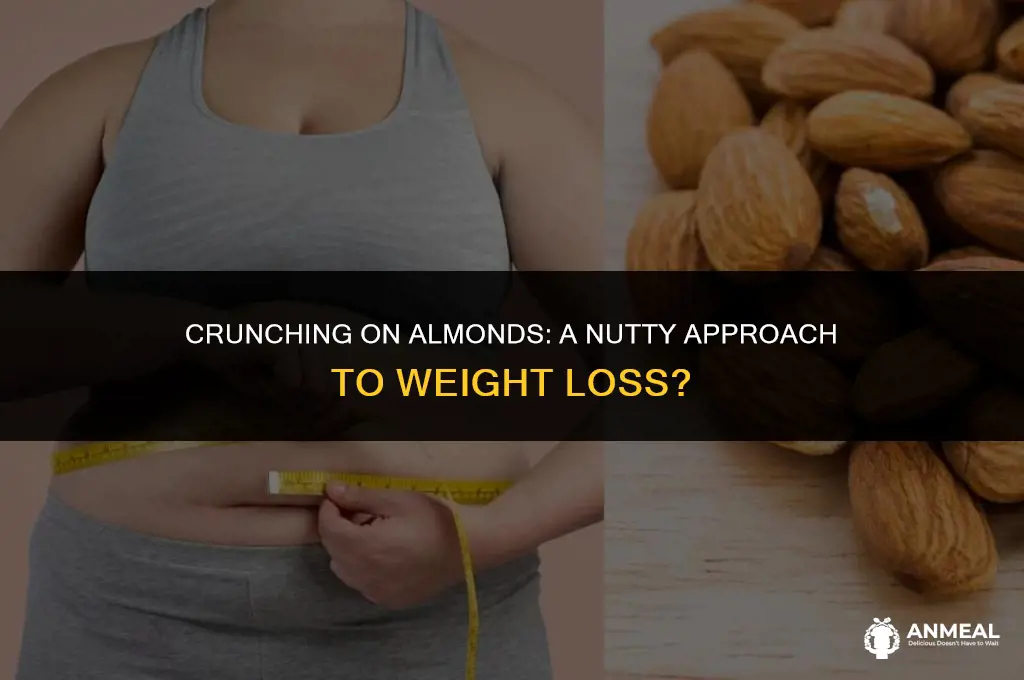 are almonds a good snack for weight loss