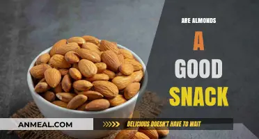 Crunchy, Nutritious, and Delicious: Are Almonds the Perfect Snack?