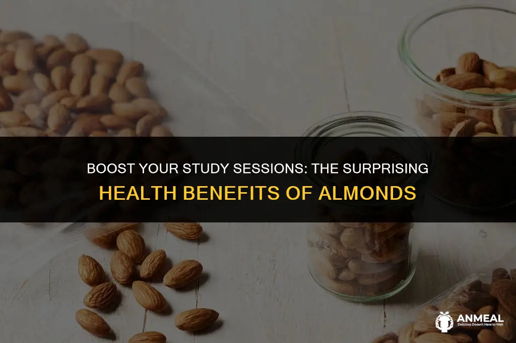 are almonds a healthy snack while studying