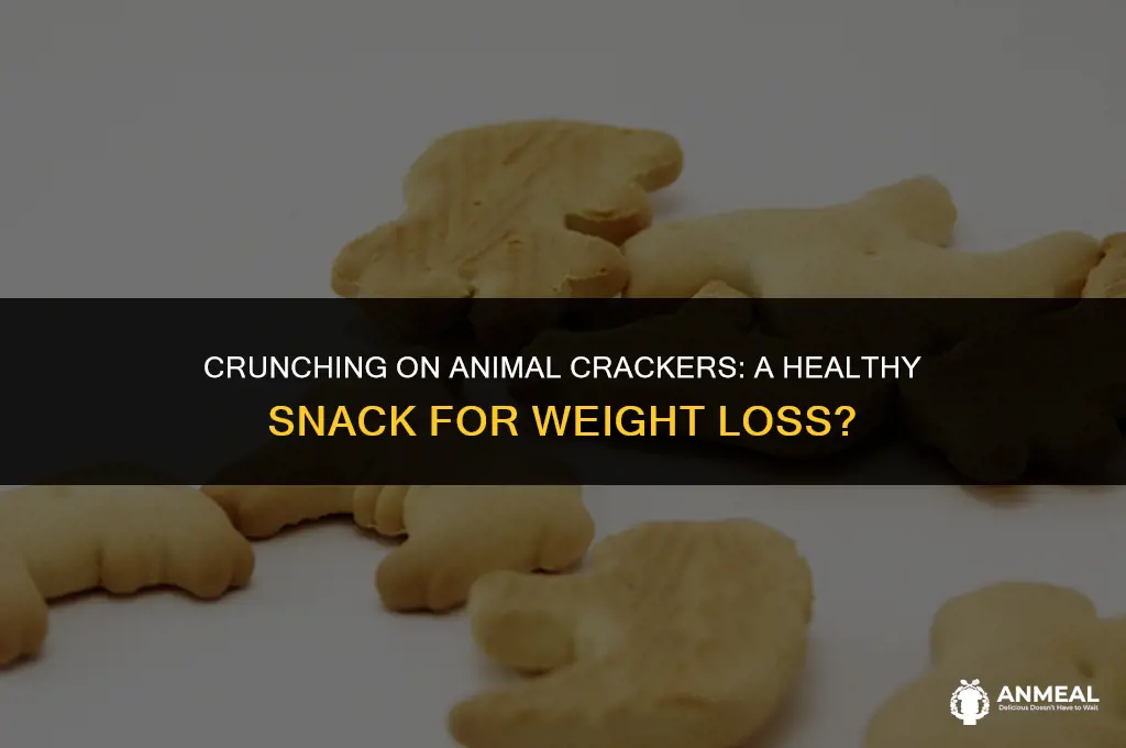 are animal crackers a healthy snack for weight loss