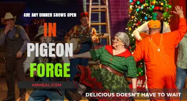 Pigeon Forge Dinner Shows: Which Ones Are Open Now?