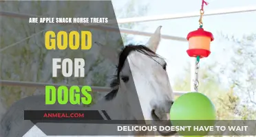 Apple Snack Horse Treats: A Healthy Option for Dogs?