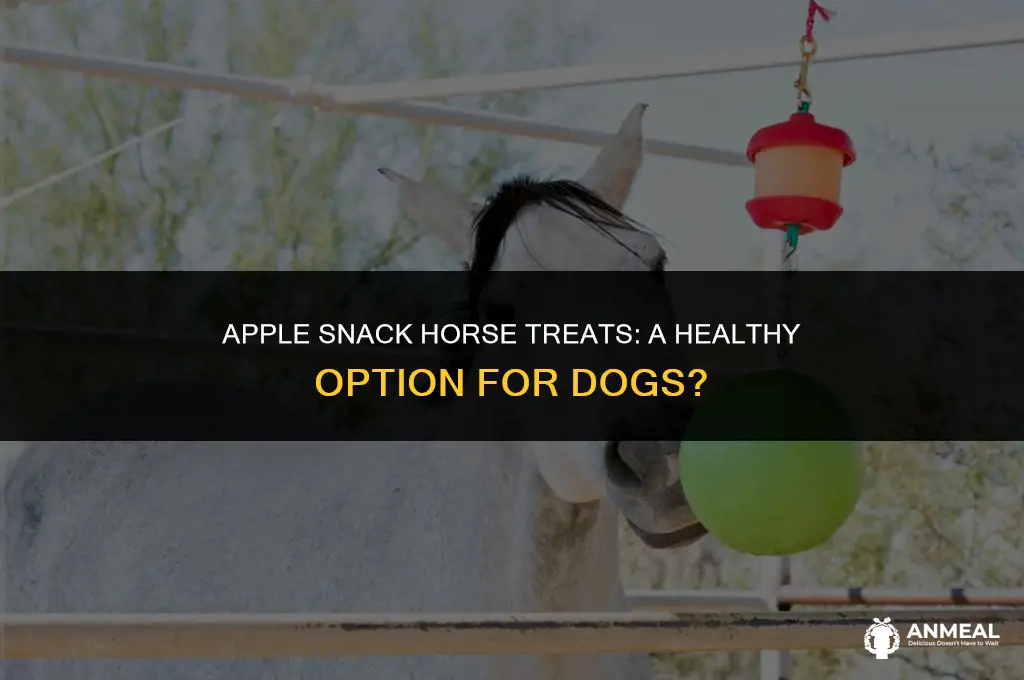 are apple snack horse treats good for dogs