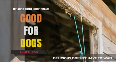 Apple Snack Horse Treats: A Healthy Option for Dogs?