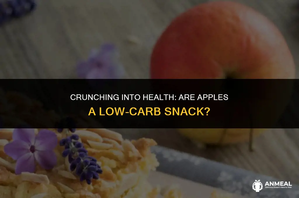 are apples a good snack for low carb