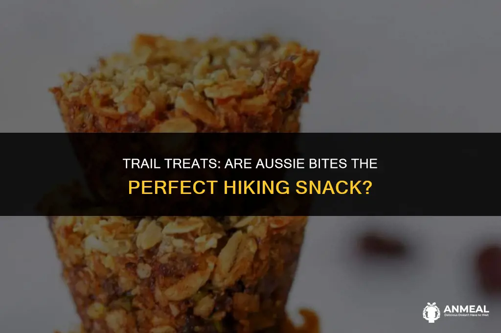 are aussie bites good snacks for hiking