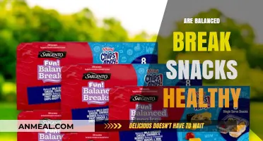 Nourishing Nibbles: The Health Benefits of Balanced Break Snacks