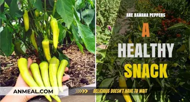 Spice Up Your Snack Game: The Health Benefits of Banana Peppers