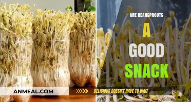 Crunchy and Nutritious: Are Beansprouts the Perfect Snack?