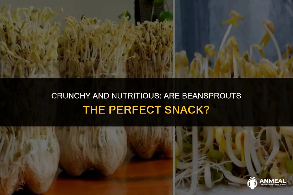 are beansprouts a good snack