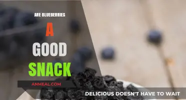 Blueberries: A Nutritious and Delicious Snack Option