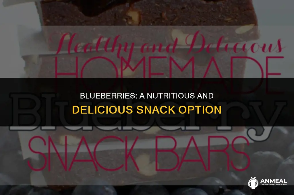 are blueberries a healthy snack