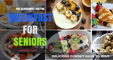 Blueberries: Healthy Breakfast Option for Seniors?