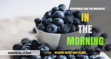 Blueberries for Breakfast: Healthy or Unhealthy?