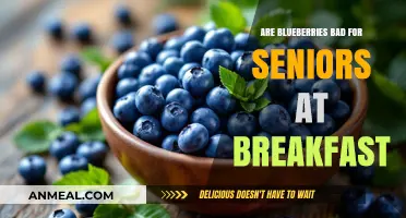 Blueberries at Breakfast: A Healthy Senior Choice?