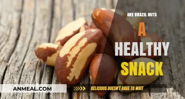 Crunching on Nutrition: Are Brazil Nuts a Healthy Snack Choice?