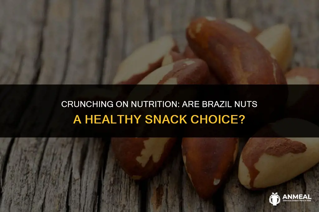 are brazil nuts a healthy snack