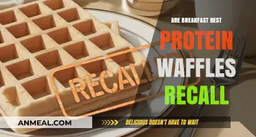 Best Protein Waffles: Are They Worth the Hype?