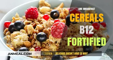 Are Your Breakfast Cereals B12 Fortified? Discover the Truth