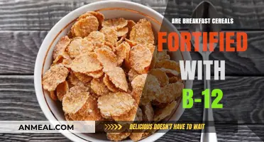 Fortified Breakfast: B-12 in Your Morning Cereal?