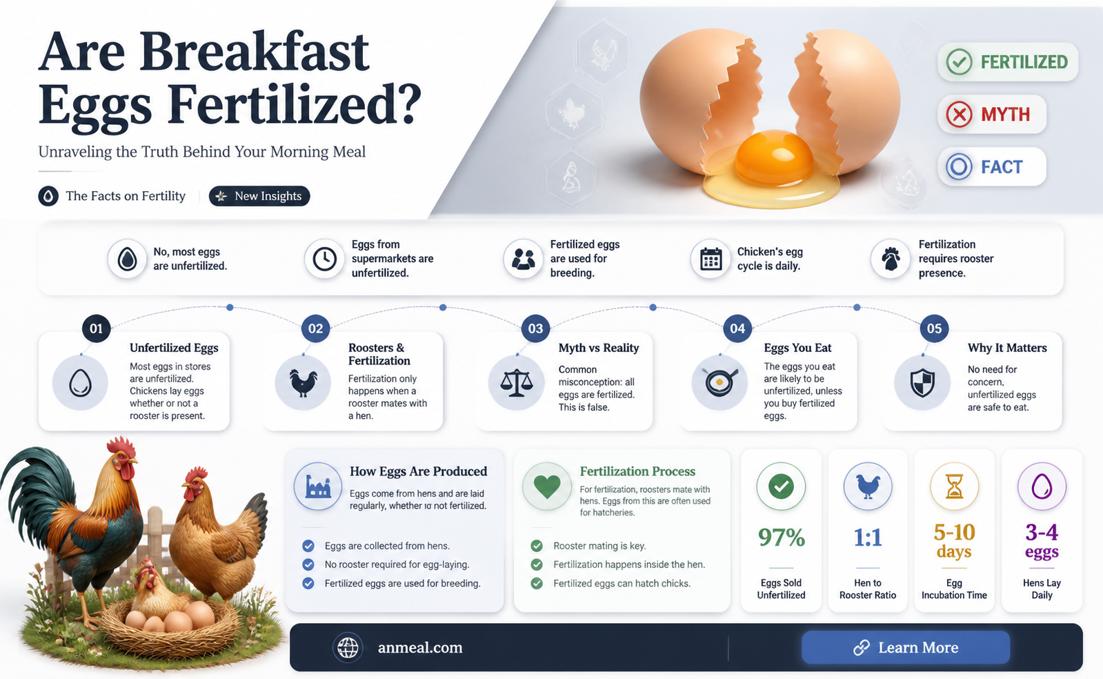 are breakfast eggs fertilized