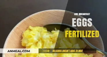 Are Breakfast Eggs Fertilized? Unraveling the Truth Behind Your Morning Meal