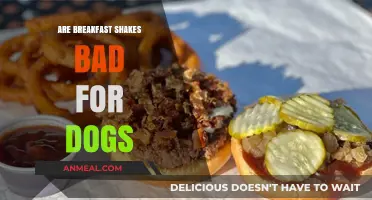 Breakfast Shakes: A Healthy Option for Dogs?