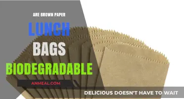 Eco-Friendly Lunching: The Truth About Brown Paper Bags' Biodegradability