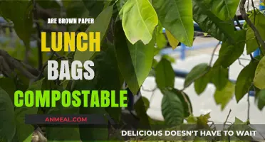 Eco-Friendly Lunching: The Truth About Composting Brown Paper Bags