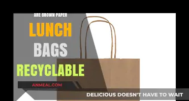 Eco-Friendly Lunching: The Recyclability of Brown Paper Bags