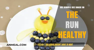 Buzzing with Nutrition: Are Bumble Bee Snacks a Healthy On-the-Go Option?
