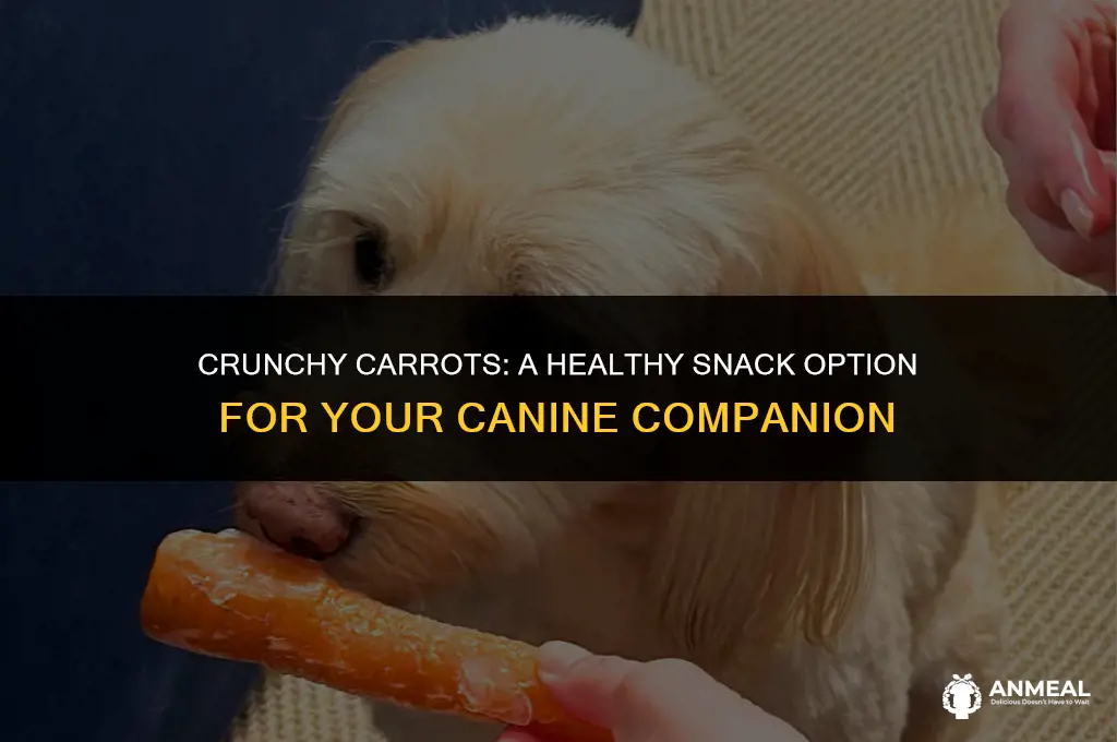 are carrots a good snack for dogs
