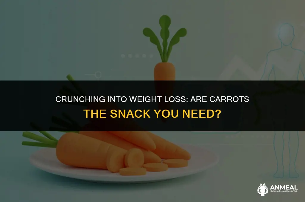 are carrots a good snack for losing weight