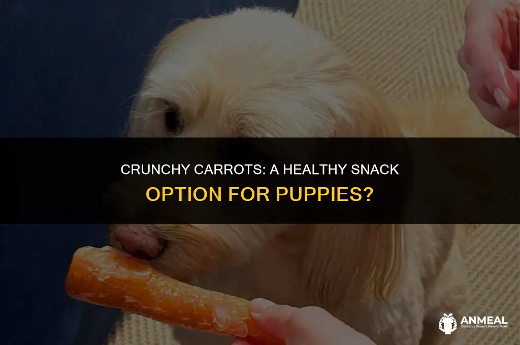 are carrots a good snack for puppies
