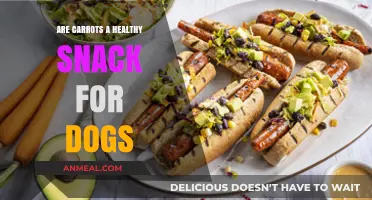 Crunchy Carrots: A Nutritious Snack Option for Your Canine Companion