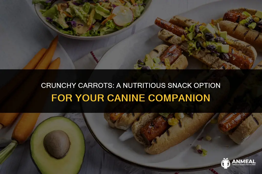 are carrots a healthy snack for dogs