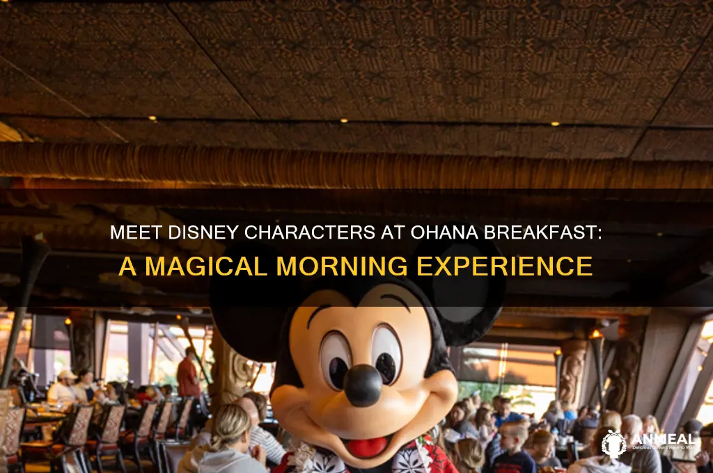 are characters at ohana breakfast