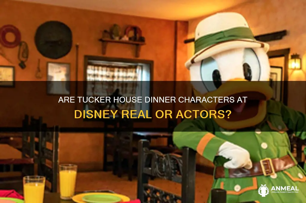 are characters at tucker house dinner disney
