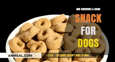 Cheerios for Canines: A Healthy Snack Option or Not?